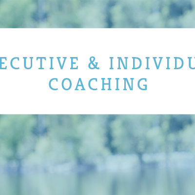Individual Coaching - 3 Month Package